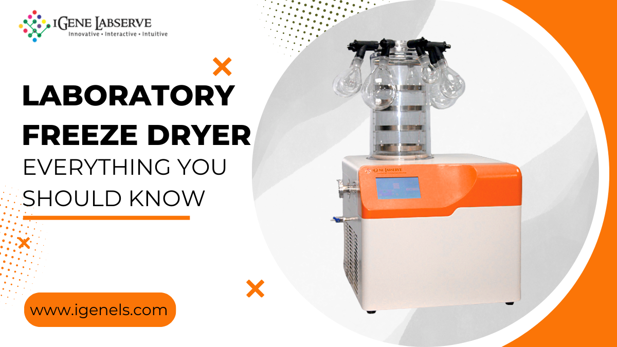 Laboratory Freeze Dryer