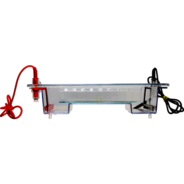 DNA ELECTROPHORESIS image2