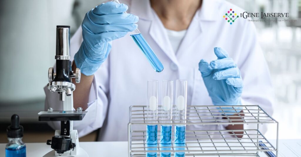 Gel-Documentation-System