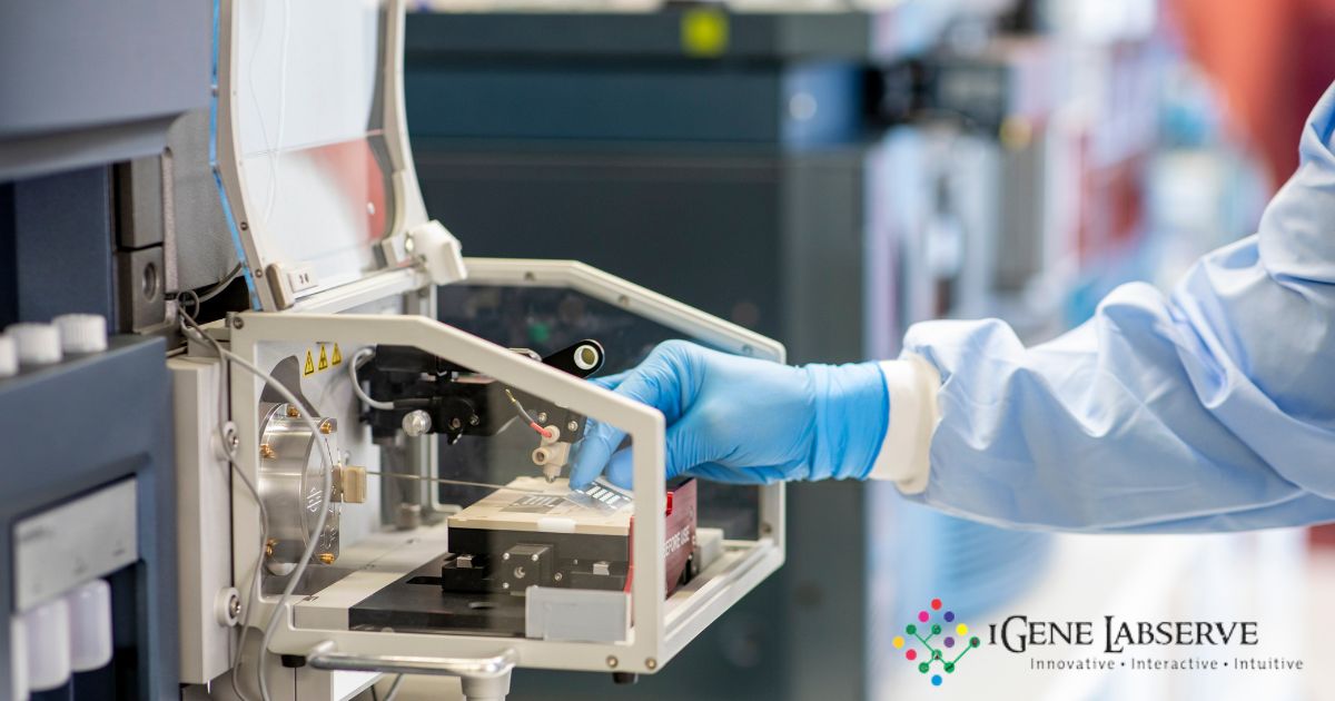 High Speed Tissue Homogenizer